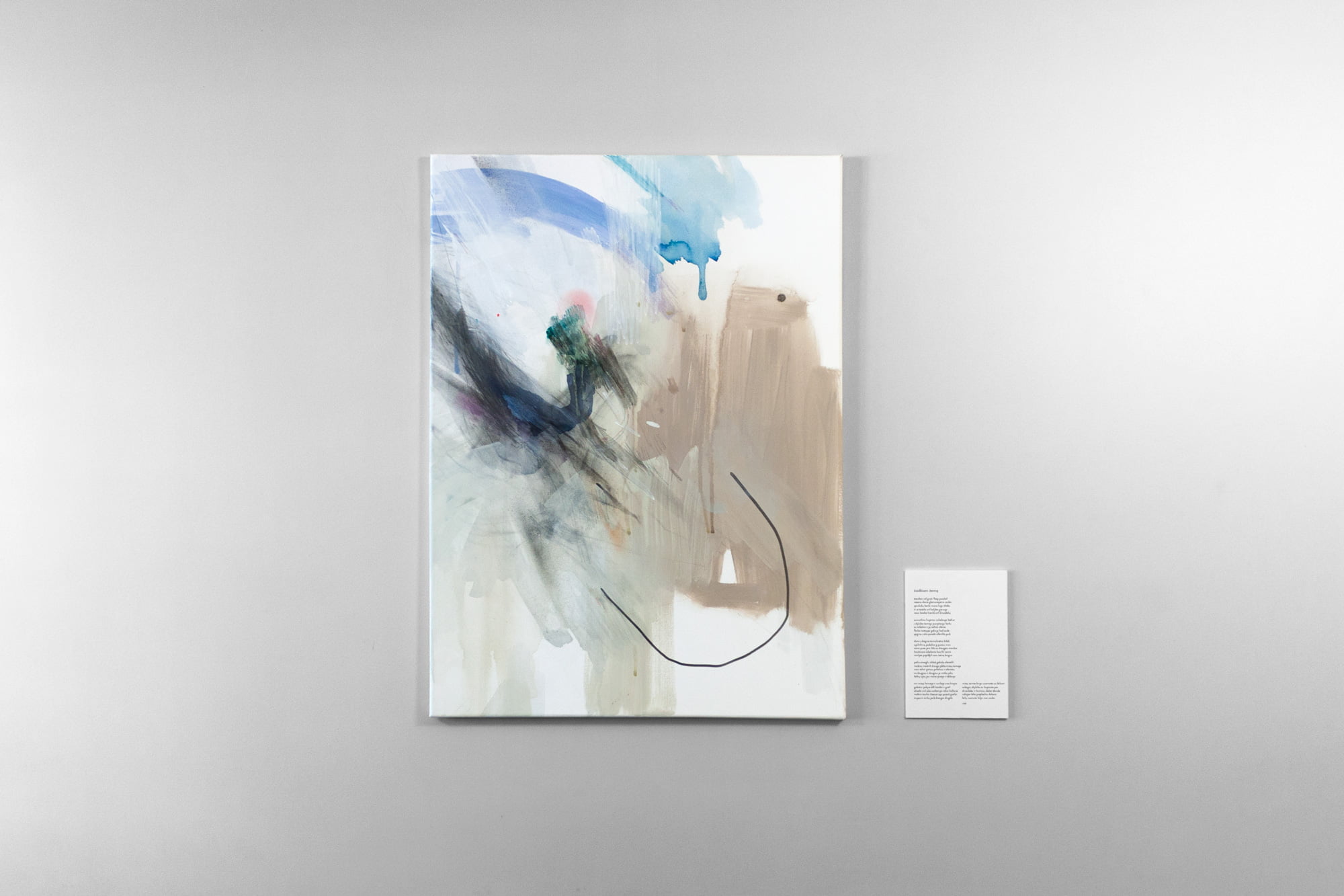 zeme_0_60x80cm_misritechnika_400